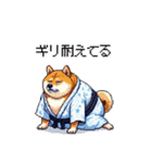 浴衣で夏の終わりな太っちょ柴犬（個別スタンプ：23）