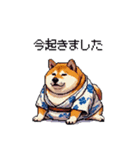 浴衣で夏の終わりな太っちょ柴犬（個別スタンプ：30）