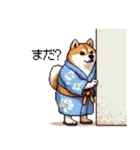 浴衣で夏の終わりな太っちょ柴犬（個別スタンプ：40）