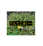頭の中までFlower1（個別スタンプ：2）