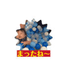 NANABOスタンプ（個別スタンプ：16）