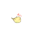 カラフルインコの超小さいスタンプ（個別スタンプ：11）