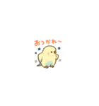 カラフルインコの超小さいスタンプ（個別スタンプ：13）
