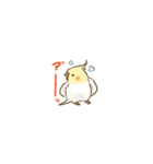 カラフルインコの超小さいスタンプ（個別スタンプ：36）