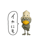 目ヂカラ強め☆上から目線のハシビロコウ（個別スタンプ：16）