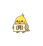 オカメインコで曜日、日にち（個別スタンプ：3）