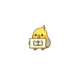 オカメインコで曜日、日にち（個別スタンプ：8）