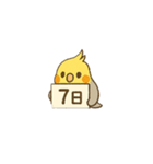 オカメインコで曜日、日にち（個別スタンプ：16）
