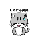 毎日うーちゃま（個別スタンプ：11）