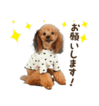 ココちゃんのかわいいスタンプです！（個別スタンプ：4）