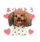 ココちゃんのかわいいスタンプです！（個別スタンプ：5）