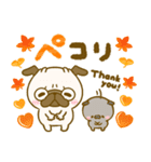 秋のパグちゃん♡毎年役立つ（個別スタンプ：4）