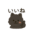黒ポメ。1（個別スタンプ：3）