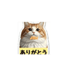 うし300@（個別スタンプ：2）