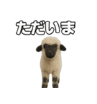 ヴァレーブラックノーズシープ1（個別スタンプ：22）