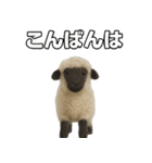 ヴァレーブラックノーズシープ1（個別スタンプ：23）