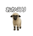 ヴァレーブラックノーズシープ1（個別スタンプ：24）