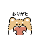 ふさふさチワワ（文字付き）（個別スタンプ：2）