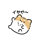 ふさふさチワワ（文字付き）（個別スタンプ：3）