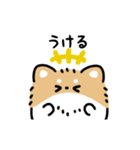 ふさふさチワワ（文字付き）（個別スタンプ：4）