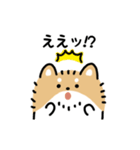 ふさふさチワワ（文字付き）（個別スタンプ：5）