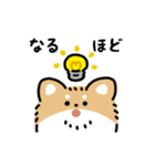 ふさふさチワワ（文字付き）（個別スタンプ：7）