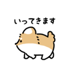 ふさふさチワワ（文字付き）（個別スタンプ：8）