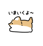 ふさふさチワワ（文字付き）（個別スタンプ：9）