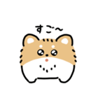 ふさふさチワワ（文字付き）（個別スタンプ：12）