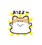 ふさふさチワワ（文字付き）（個別スタンプ：13）