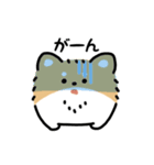 ふさふさチワワ（文字付き）（個別スタンプ：15）