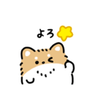 ふさふさチワワ（文字付き）（個別スタンプ：19）