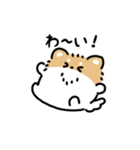 ふさふさチワワ（文字付き）（個別スタンプ：21）