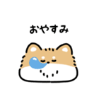 ふさふさチワワ（文字付き）（個別スタンプ：24）