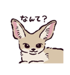 フェネックです（個別スタンプ：1）