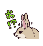 フェネックです（個別スタンプ：7）