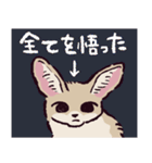 フェネックです（個別スタンプ：9）