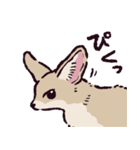 フェネックです（個別スタンプ：13）