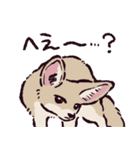 フェネックです（個別スタンプ：14）