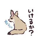フェネックです（個別スタンプ：17）