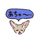 フェネックです（個別スタンプ：20）