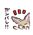 フェネックです（個別スタンプ：31）