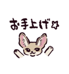 フェネックです（個別スタンプ：40）