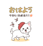 やさしいウエスティ『秋』（個別スタンプ：1）