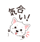 やさしいウエスティ『秋』（個別スタンプ：13）