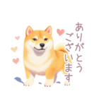 小さなハートと柴犬スタンプ（個別スタンプ：3）