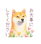 小さなハートと柴犬スタンプ（個別スタンプ：22）