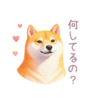 小さなハートと柴犬スタンプ（個別スタンプ：33）