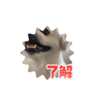 ぱるむとそる（個別スタンプ：4）