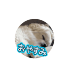 ぱるむとそる（個別スタンプ：11）